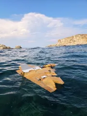 ������ ��� ����, ���� ��� ���� ������ ����� ����