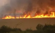 Пожар избухна в Пазарджишко, спешно се търсят доброволци 