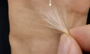������ ��������� ��� ������������ ������