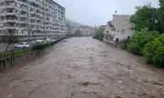������ ����������� ��������� ��� ������ ������� � ������� ����������, �������� ������ �� ������