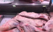 ������ �������: ������������� ������� ����� ���� ������ ����