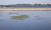 ������ ������ �� ����� ��� ���� ������ � ��� 3 ��