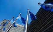 ������ ���������: �������� �������� � �� �� ������ ��� ���� �������� ��������