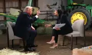 ������ 