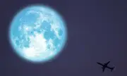 ������ ������� 