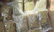 Откриха наркотици и оръжие в къща край Средец