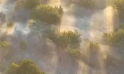 ������ ������� ��� ���� ����� ������ � �������