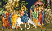 Цветница е! &quot;Цветните&quot; имена празнуват днес