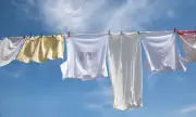        ,    