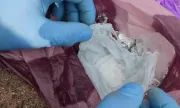������ ��������� ���������� �������� ���� ���� ������ ������� � ����� �� ��������������� �� ���������