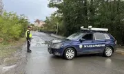      ,      