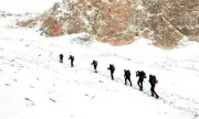 ������ �������� � ������: ����� ��������� �������� �� ������