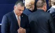 ������ ����� ������ ����� � ���� �� ������� � �������
