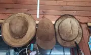 Снимка Знаете ли, че в наша съседка се правят шапки от гъби? (ВИДЕО