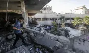  Ynet:     ,   