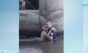 ������ ��������� �� ������� � ������ ����� ������� �� ������
