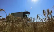 ������ ����������� ����� �� ����� �������� ������ � �����