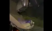 ������ ��������� �� ������ �� ����� ���� ���������� ���������