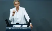 ������ ���� ������ ������� �� ������� �� ����������� ������� � �������� ��