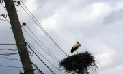 ������ ���������� ������������ �� ��������� ��������� � ����� �������� �����