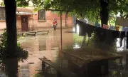   ,  ,       