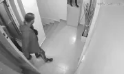 ������ ����������� ����� ������ �� ���������� ��� �����