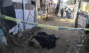 ������ ������ ������� � ����������� ���� ������ �� 12 ����
