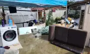 ������ ����� �������� �� ���������� ���������� ���������� � ��������