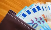 ФАЦ: Ако това се случи, много хора може да обвинят еврото