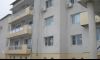 Умрелите прасета в Янтра не са били болни от чума | ФАКТИ.БГ Огнище на COVID-19 в жилище за младежи с умствена изостаналост в Стражица