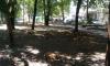 Ремонтираха парк „Сърнена гора“ (СНИМКИ) снимка #1