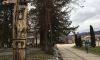 Чистят тонове боклуци в язовир Пуснаха безплатен интернет на обществените места в Берковица