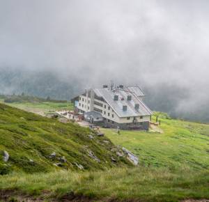 Снимка за куиз 938