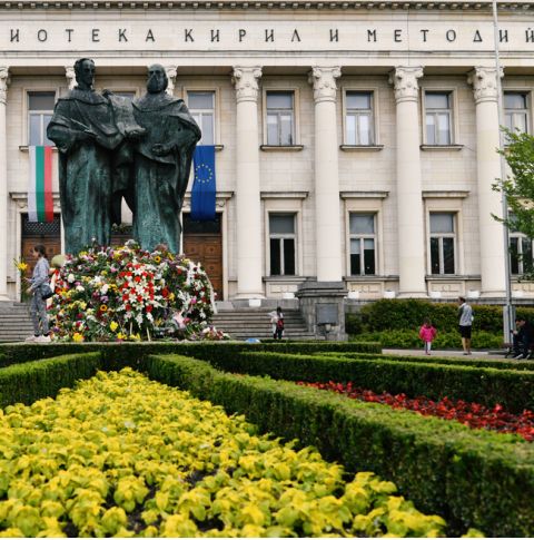 Снимка за куиз 519